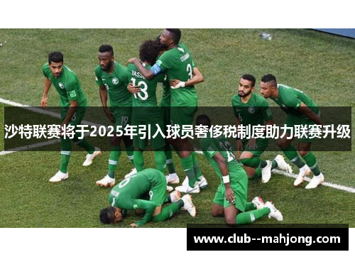 沙特联赛将于2025年引入球员奢侈税制度助力联赛升级 沙特联赛将于2025年引入球员奢侈税制度助力联赛升级